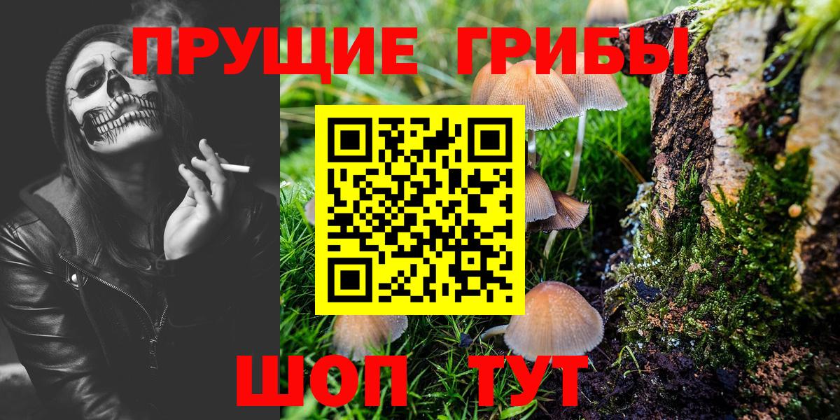 Галлюциногенные грибы Psilocybe  Вход с VPN  Туймазы 